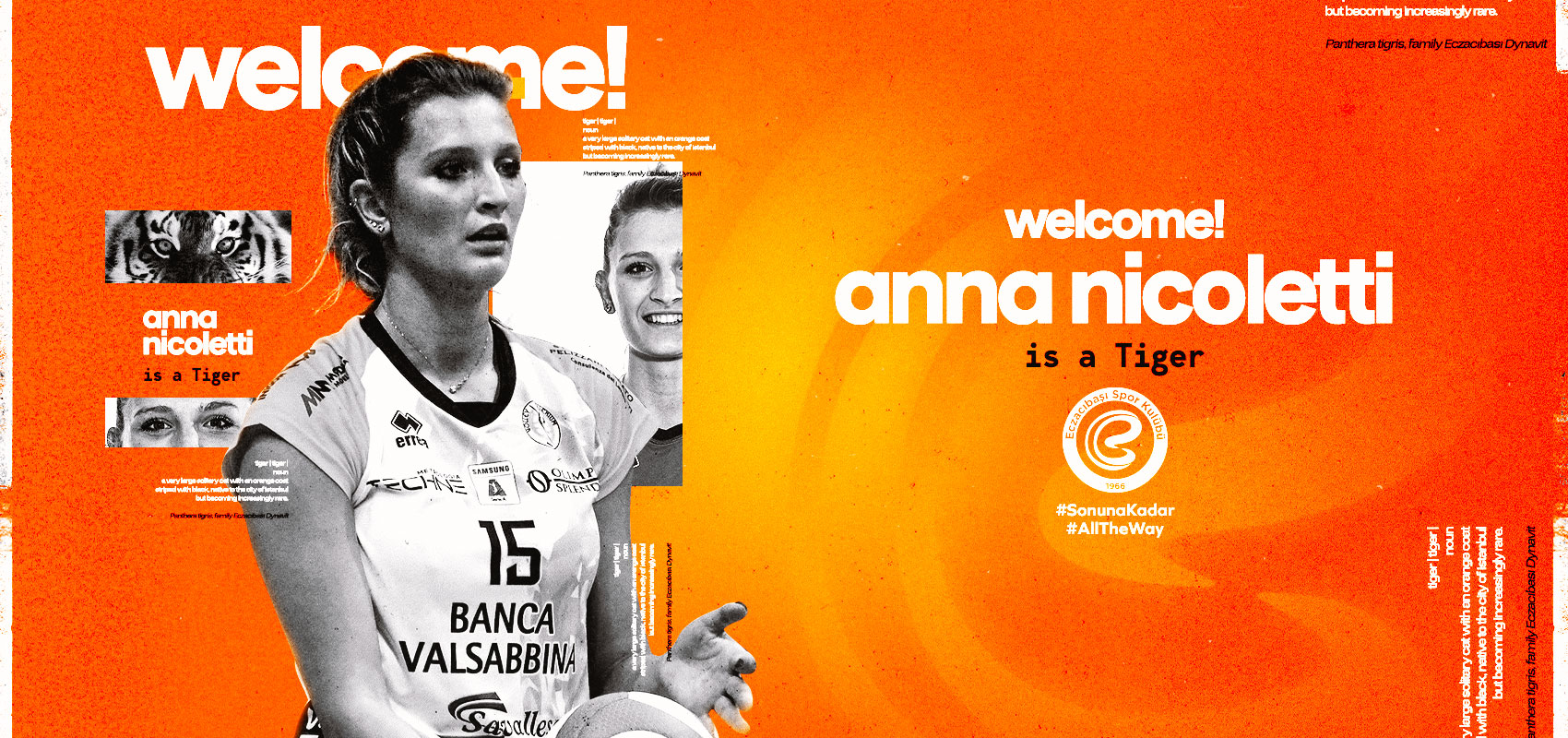 Anna Nicoletti Eczacıbaşı Dynavit’te