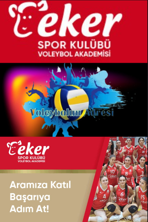 VoleybolunAdresi.com – Tekin Ateşnal ve Voleybol Haberleri